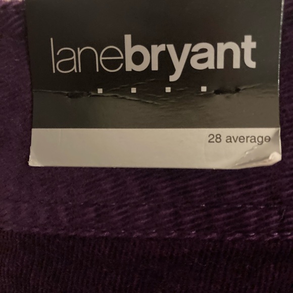 Purple Corduroy Pants by Lane Bryant Plus Sized - Picture 8 of 9